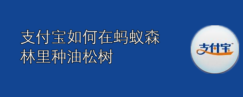 <b>支付宝如何在蚂蚁森林里种油松树</b>