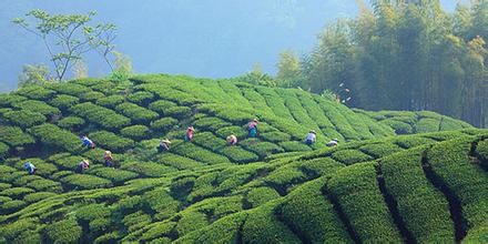 生活小细节中的大智慧