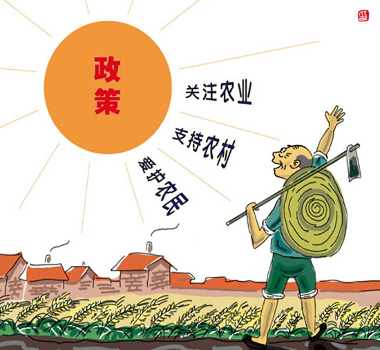 三农，政策，指的是什么