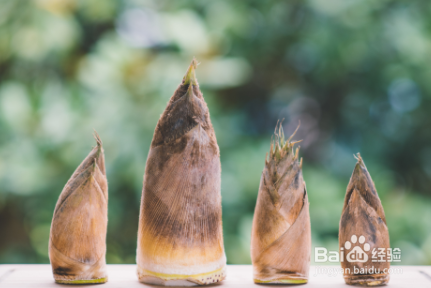 新竹笋怎么处理才能不涩