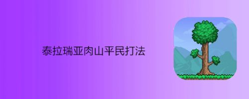 泰拉瑞亚肉山平民打法
