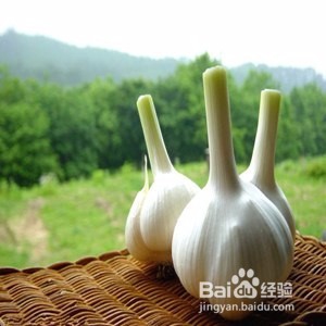 食物防癌吃什么好?