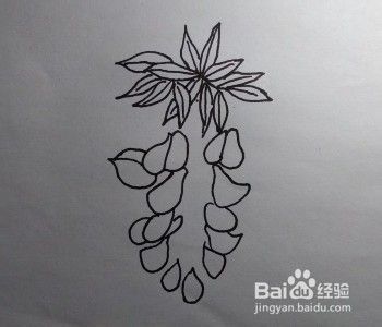 花卉画法教程：怎么画藤萝？如何画紫藤萝？