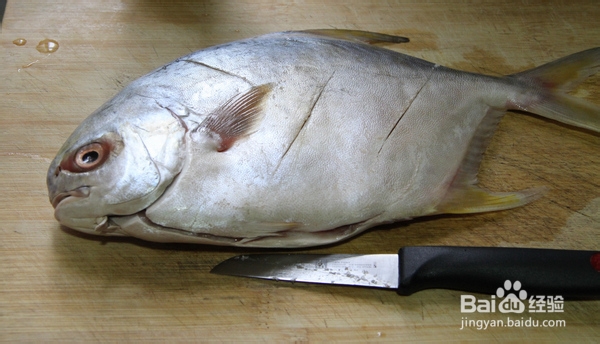 怎么烧都很爱吃的金鲳鱼