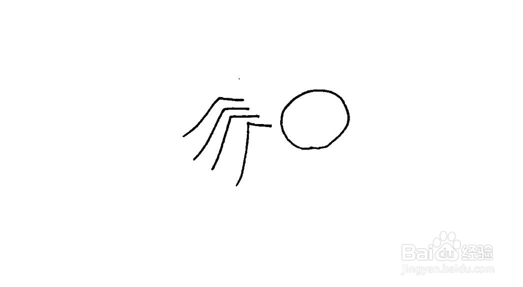蜘蛛简笔画画法教程