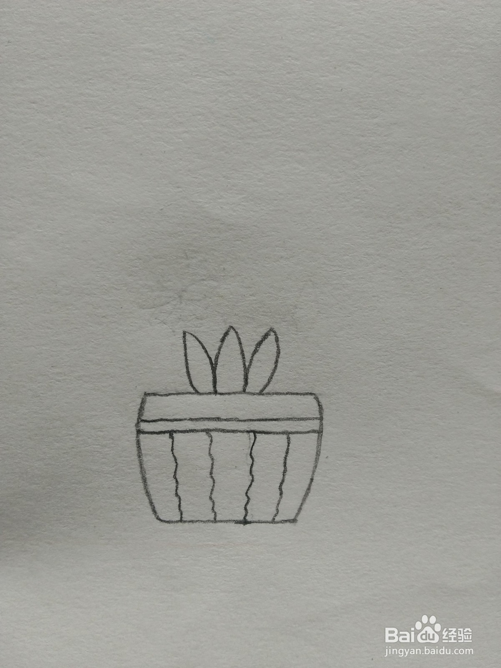 简笔画——怎么画多肉盆栽