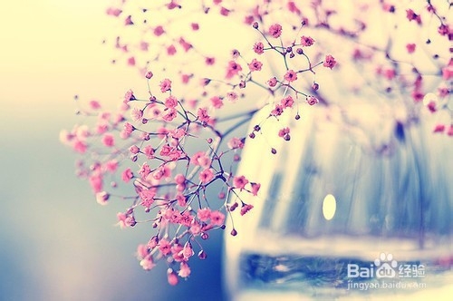 失眠应该怎么办