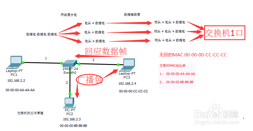 #交换机#-交换机的工作原理从这几点理解