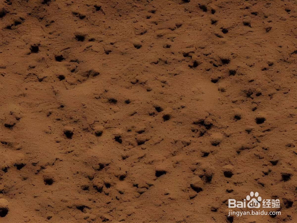 西瓜的栽培方法