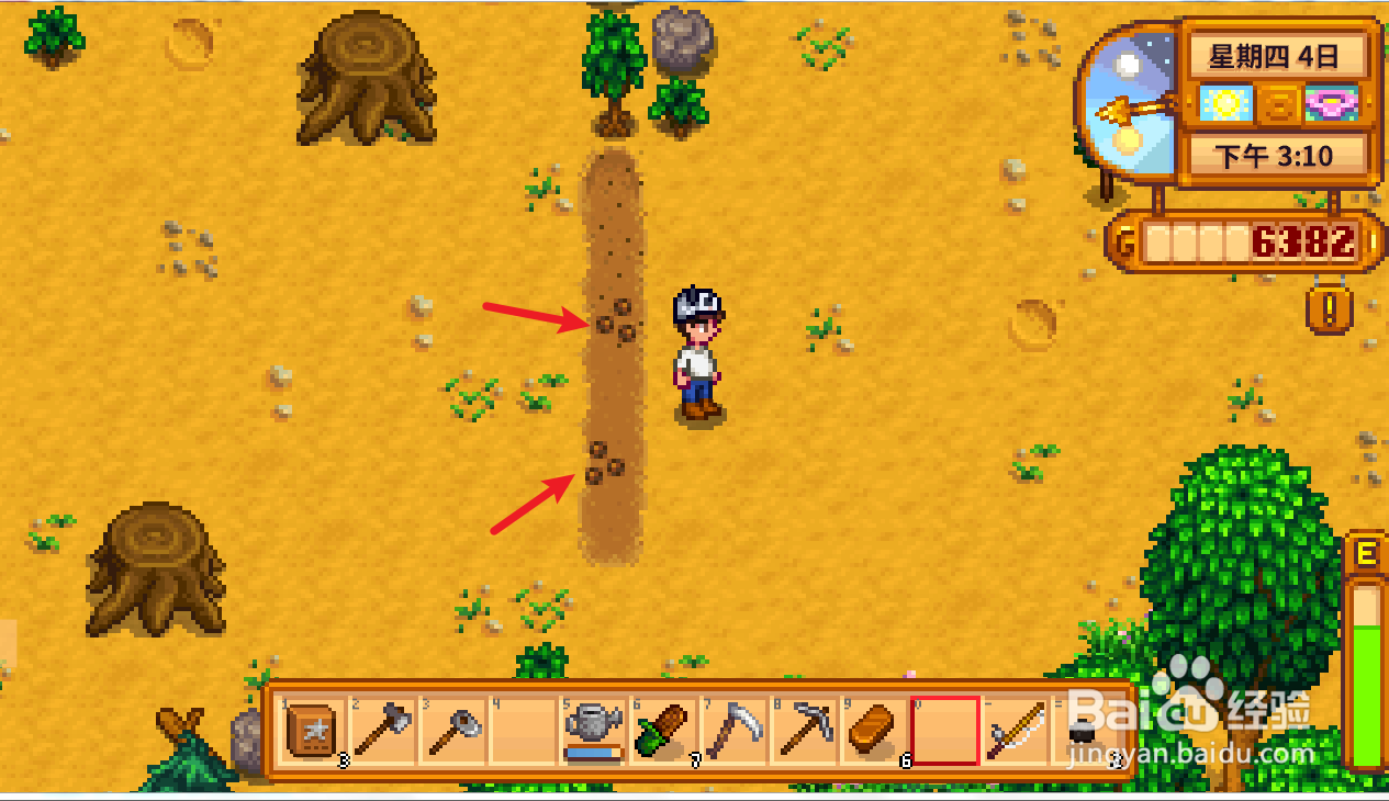 星露谷物语乔迪的请求任务 怎么送乔迪花椰菜