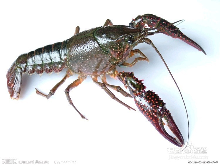 长沙有哪些好吃的