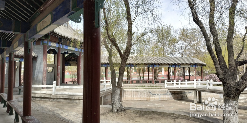 教学设计制作要求说明