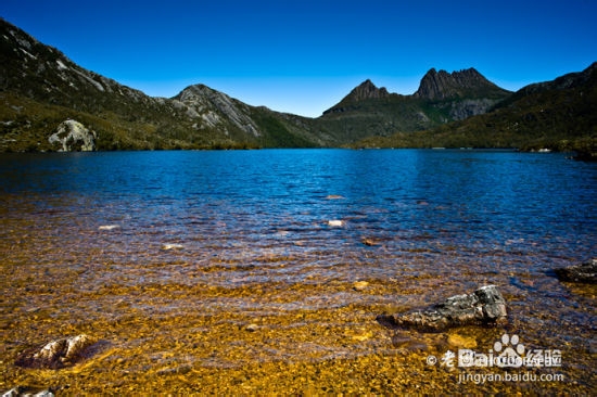 七夕见证绝美爱情故事：[3]塔斯马尼亚