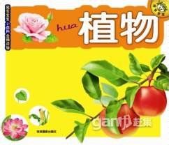 怎样挑选学龄前孩子的图书