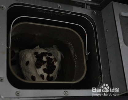 蔓越莓莜面软面包