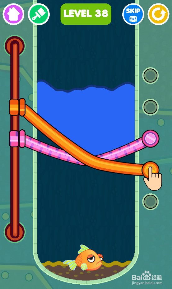 Save The Fish的LEVEL 38如何通关