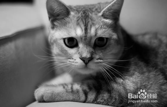 遗传性疾病不能轻视，一旦出现后果严重