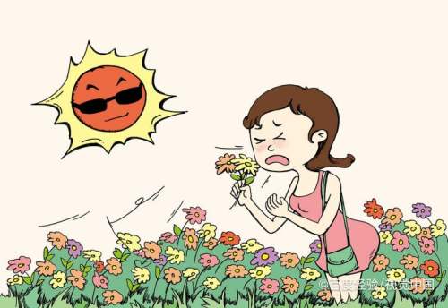 全国花粉过敏预警地图在哪看?