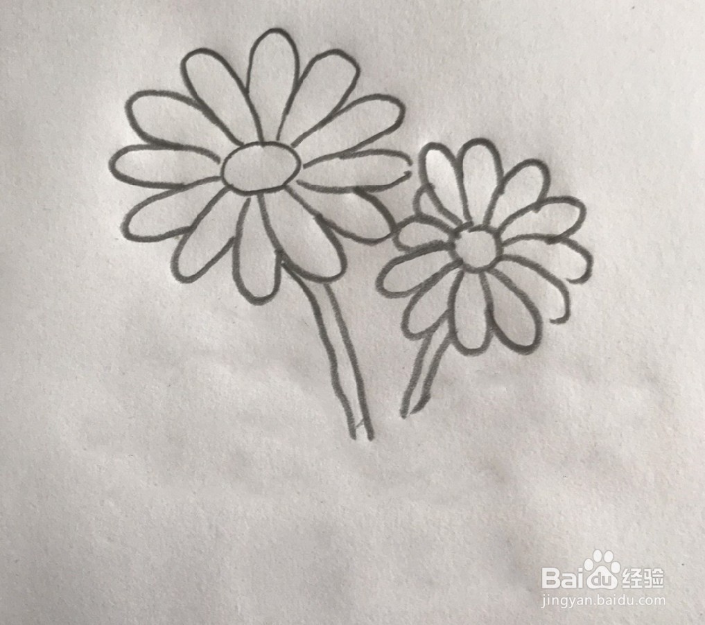 【简笔画】蒲公英的分步画法