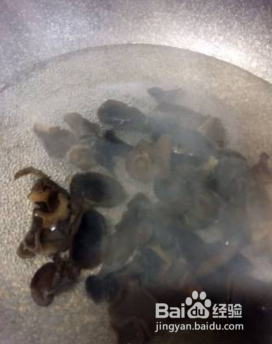 新鲜白木耳的处理及食用方法