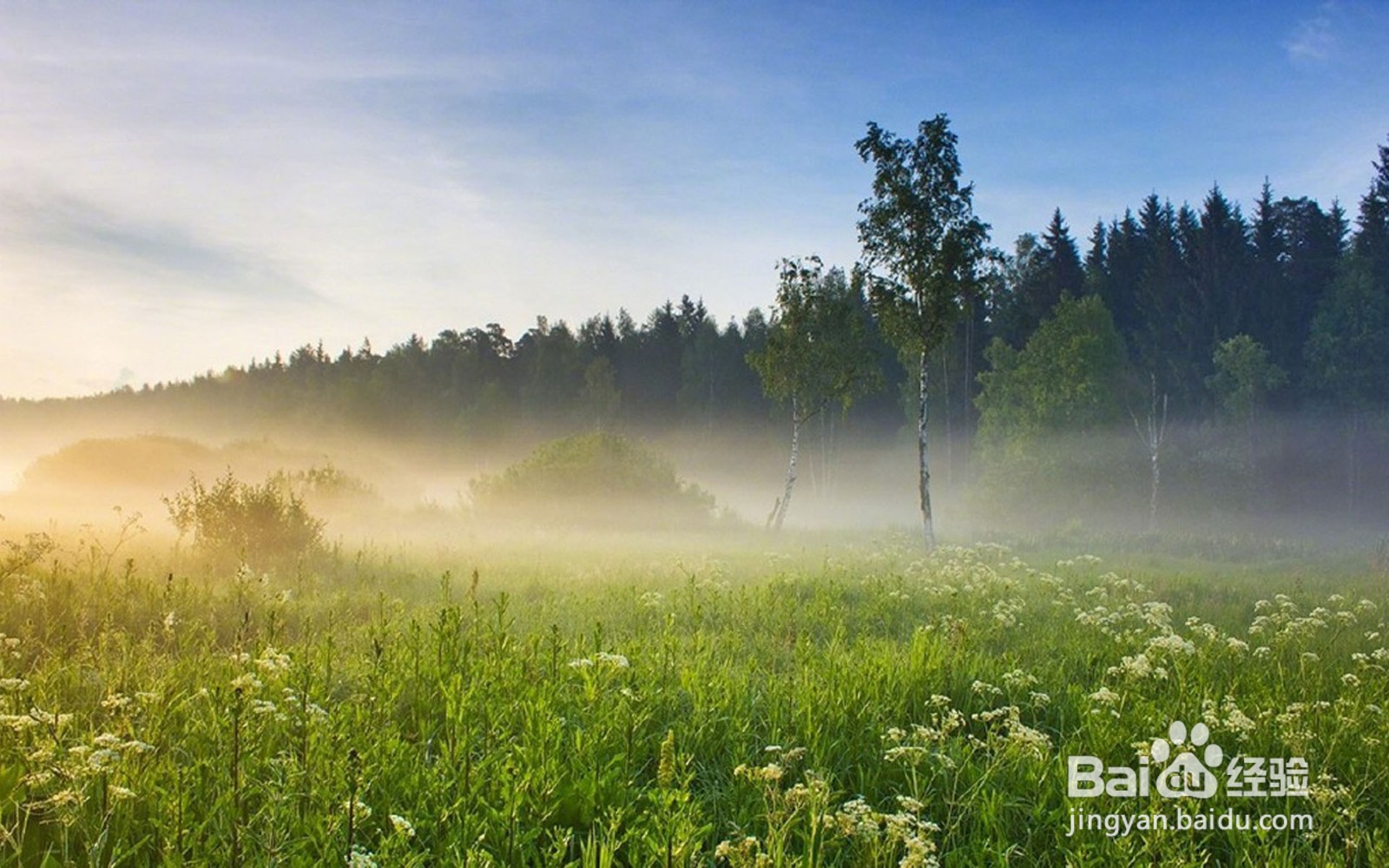 国际商务的发展过程