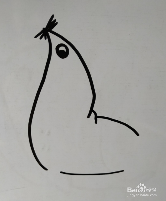 如何画海狮的儿童画？