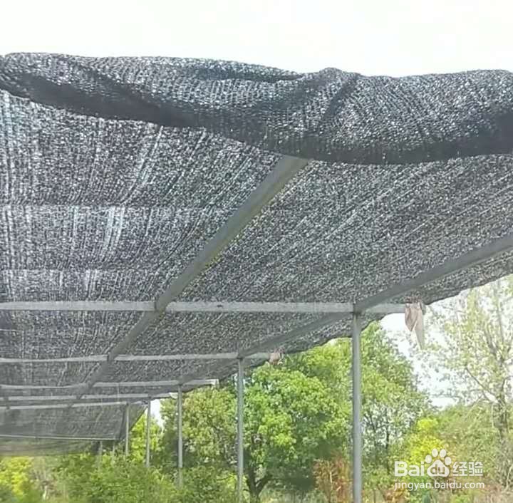 乡间的暑假生活攻略