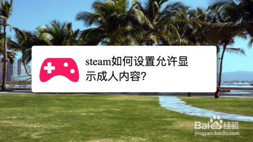 Steam如何设置允许显示成人内容 百度经验