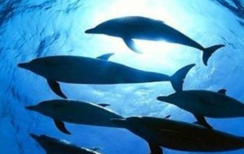 《海底两万里》中哪些幻想已成为现实