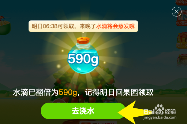 怎样养好幸福树