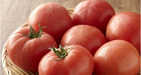 吃番茄会不会上火
