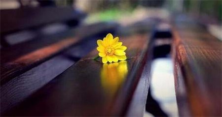 虚拟语气的用法