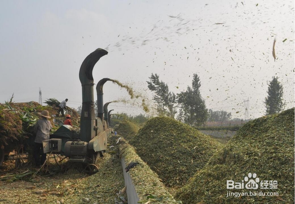 铡草粉碎机厂家