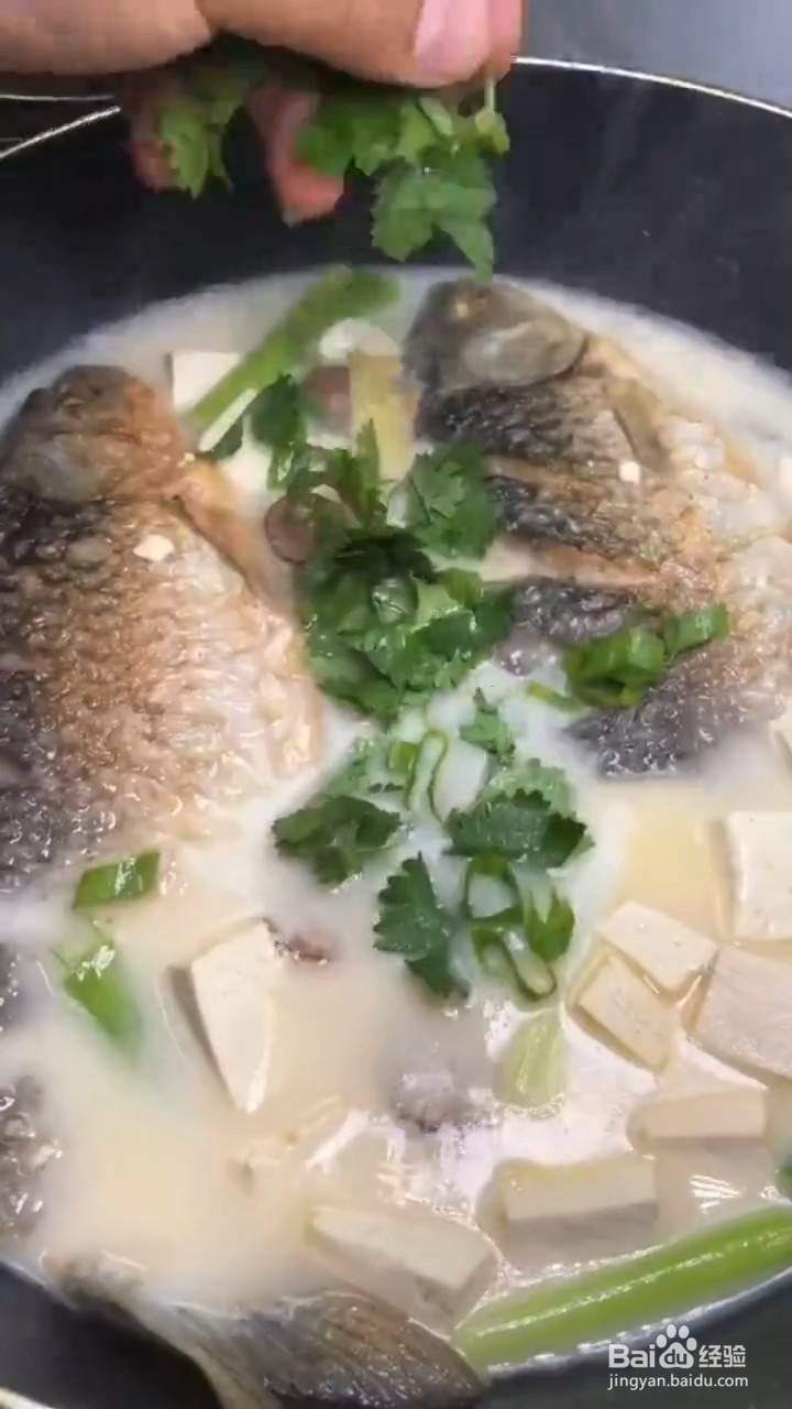 汤汁奶白又好喝的鲫鱼豆腐汤要怎样做