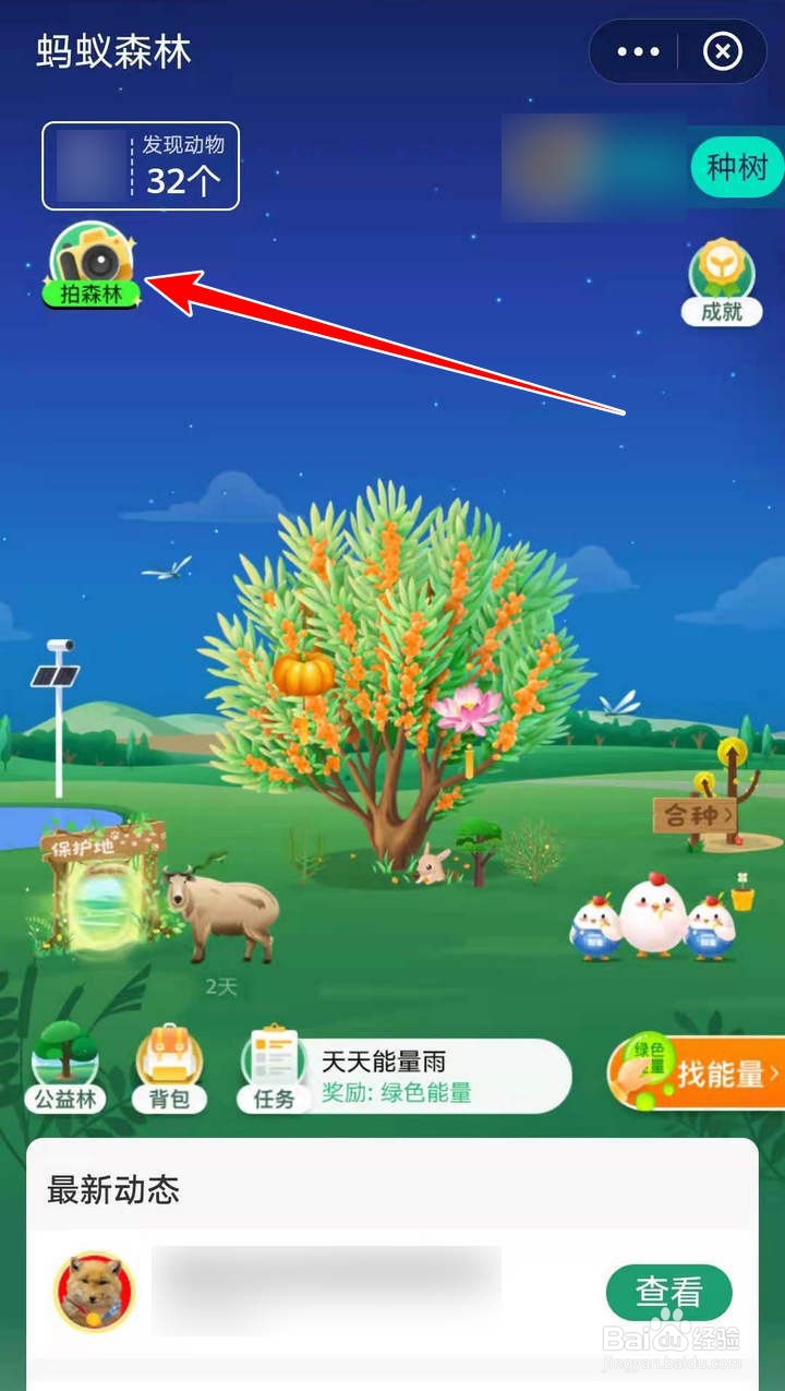 支付宝蚂蚁森林的生物短视频征集赛如何参加