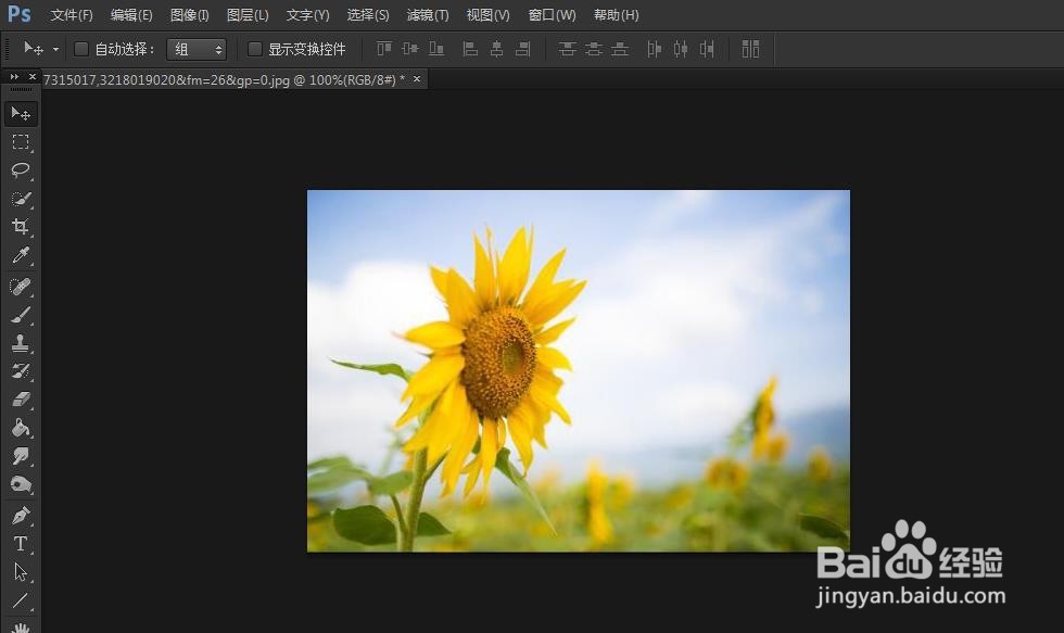 PS如何使用多边套索工具抠图