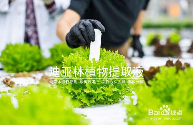 甲醛的危害有哪些，如何去除室内甲醛