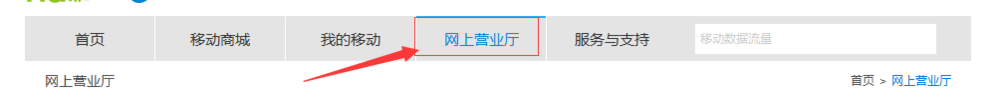 移动用户每月套餐流量不够用怎么办