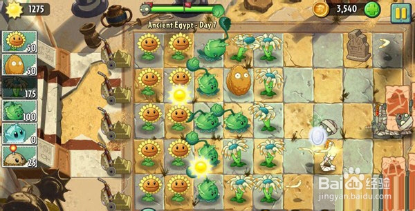 《植物大战僵尸2》通关图文攻略ios版---第七关