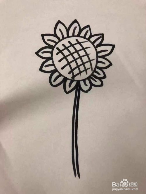 怎么画向日葵;向日葵简笔画的画法