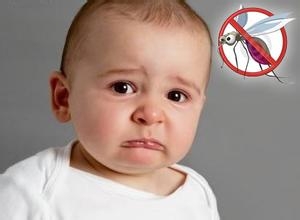 如何替试管宝宝在户外防蚊虫