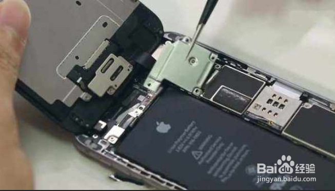 苹果手机进水手电亮怎么处理