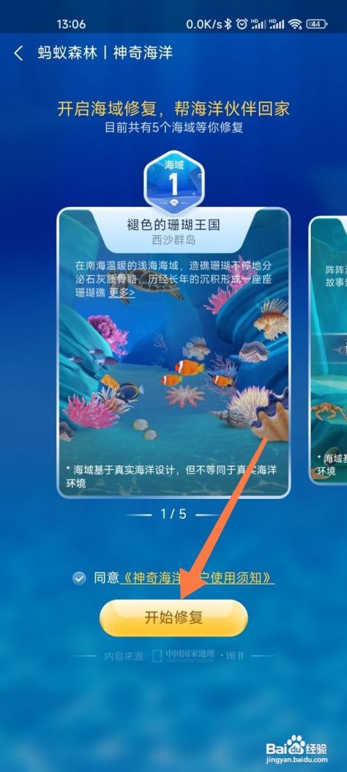 支付宝如何进入蚂蚁森林的海洋