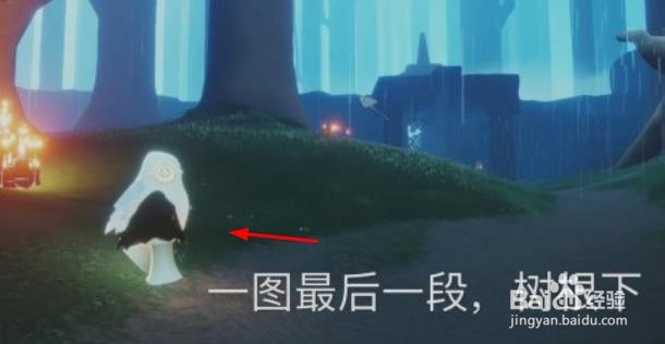《光遇》大蜡烛雨林地图10.3位置