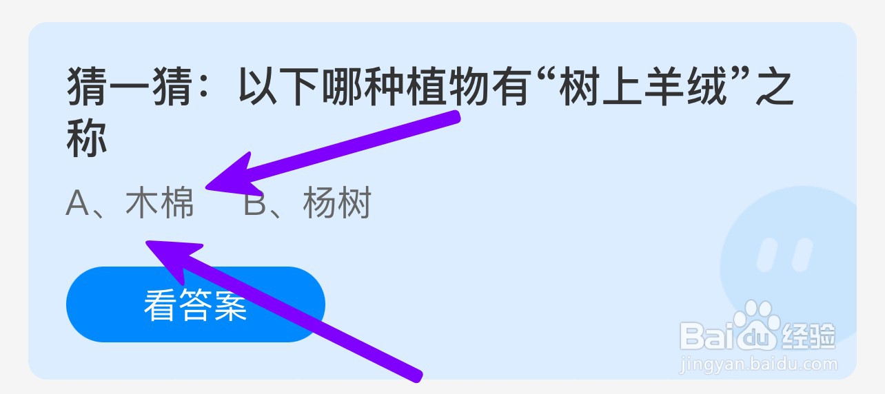 猜一猜:以下哪种植物有“树上羊绒”之称