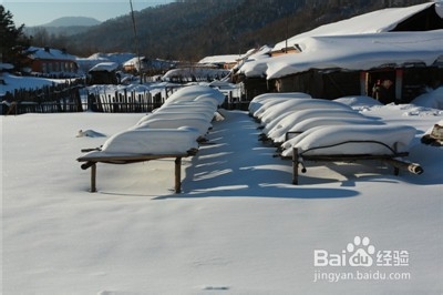 书到用时方恨少！东北雪乡之旅