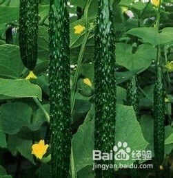 怎么样去除眼袋