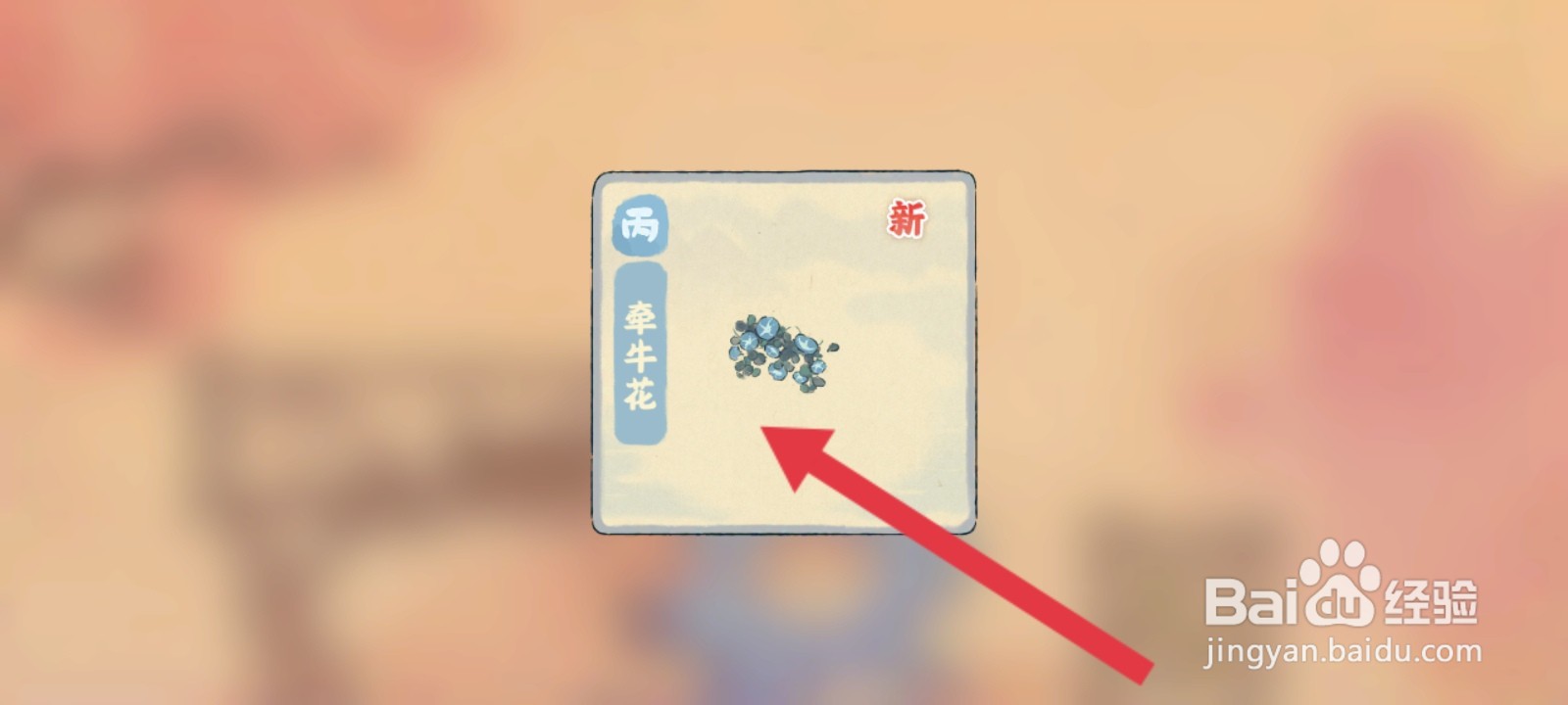 桃源深处有人家如何创造牵牛花