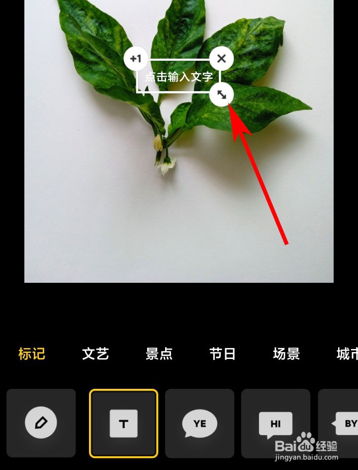 红米手机如何给图片添加文字