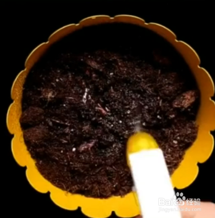 种植瓜果的小妙招